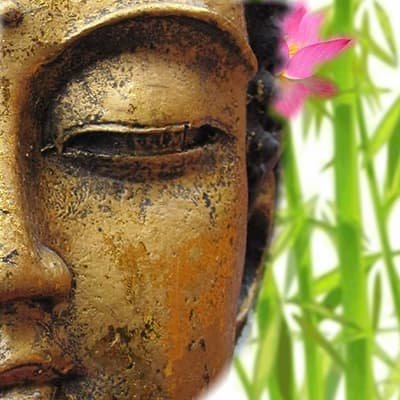 Reiki5